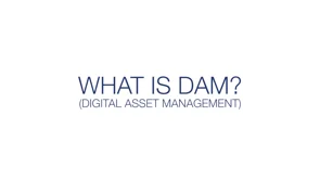 screenshot of Northplains DAM